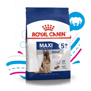 ROYAL CANIN MAXI ADULTO