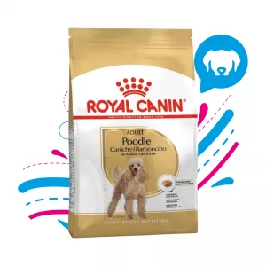 ROYAL CANIN POODLE ADULTO 1.5 KG