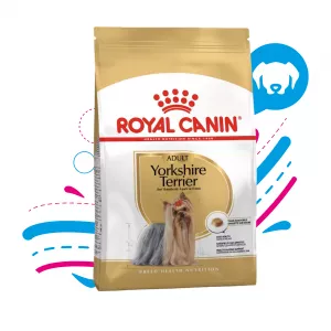 ROYAL CANIN YORKSHIRE TERRIER