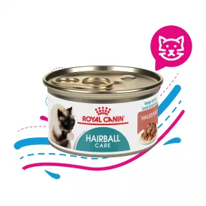 ROYAL CAT LATA HAIRBALL CARE X 80 GR