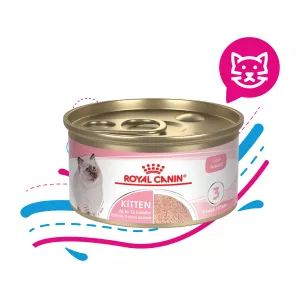 ROYAL CAT LATA KITTEN LOAF WET X 85 GR