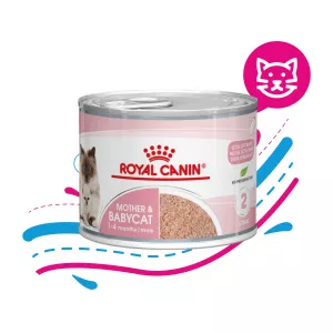 ROYAL CAT LATA MOTHER & BABY X 145 GR