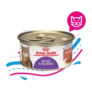 ROYAL CAT LATA SPAYED NEUTER X 80 GR