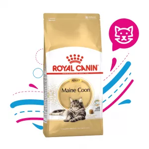ROYAL CAT MAINE COON ADULTO X 2 KG