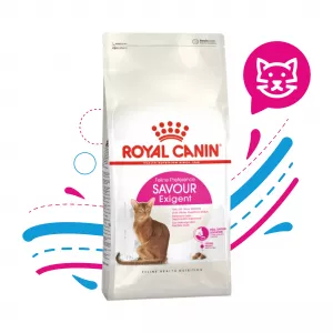 ROYAL CAT SAVOUR X 2 KG