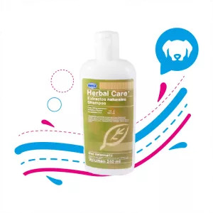 SHAMPOO HERBAL CARE X 240 ML