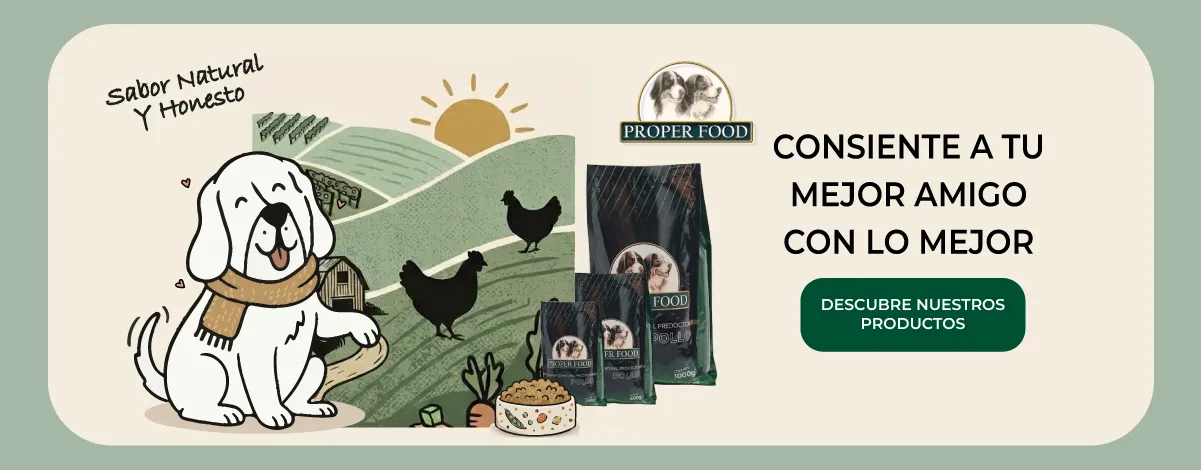 https://www.animalcenter.pet/search/?k=Proper+Food
