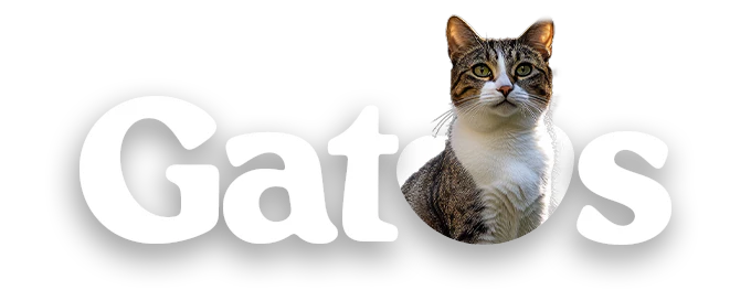 Mundo gabrica Gatos