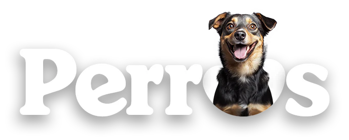 Mundo gabrica Perros