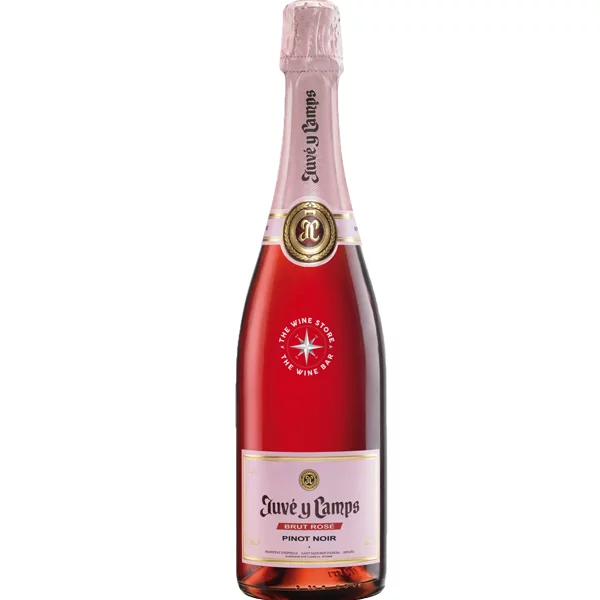 Juve y Camps Brut Rose