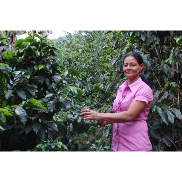 Coffee Grown Exclusively By Woman Ground 17.6 Oz Aromatic. Sweet Of Caramel And Chocolate Notes