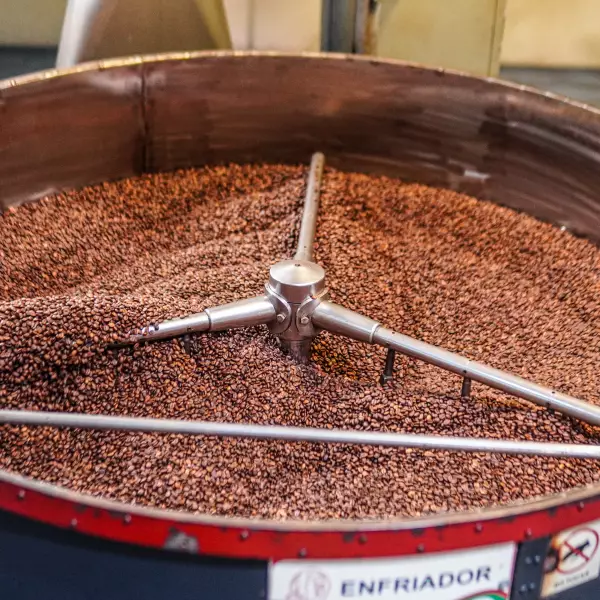 Colombian ground coffee of origin in the North of Santander