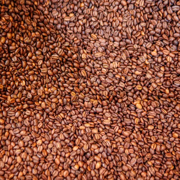 Colombian roasted coffee beans of origin in the North of Santander