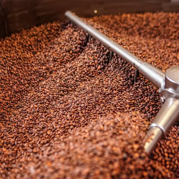 Colombian roasted coffee beans of origin in the North of Santander