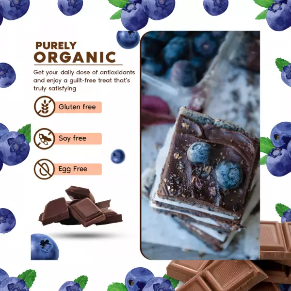 Dark Chocolate Bar with Blueberries and Reishi/Organic/Vegan/Gluten Free/Egg Free/Soy Free