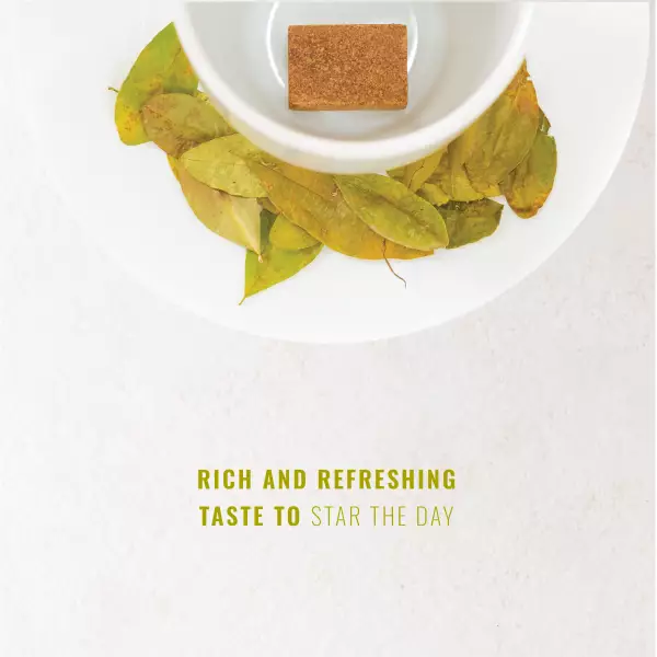 Instan  Tea Chai. Cubes  - easy preparation  Ref 12 UND 3.39 oz
