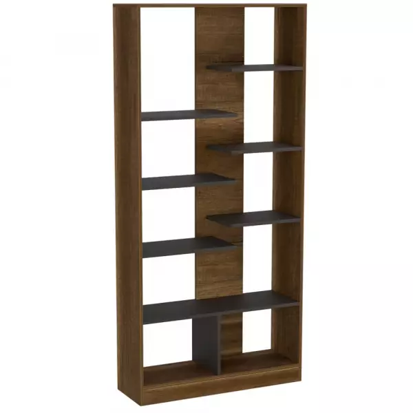 Sophisticated Bookcase