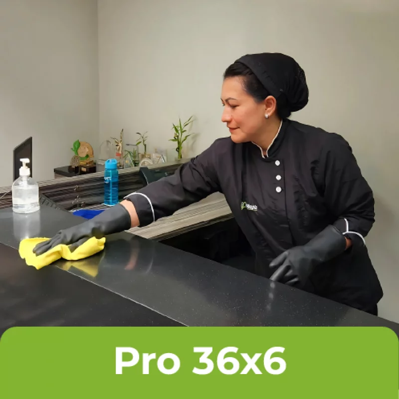 PLAN PRO 36x6: Programa 36 fechas de limpieza en turnos de 6 horas.