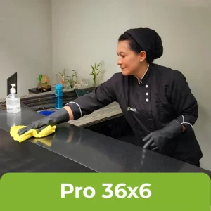 PLAN PRO 36x6: Programa 36 fechas de limpieza en turnos de 6 horas.