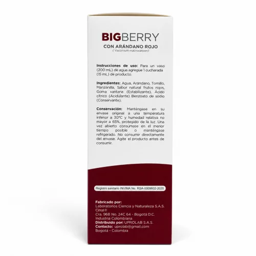 BIGBERRY (FRASCO X 500ml)