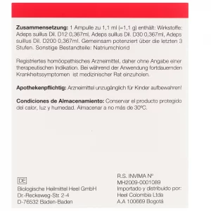 Adeps Suillus Injeel x 1 ampolla Medicamento Homeopático