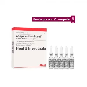 Adeps Suillus Injeel x 1 ampolla Medicamento Homeopático