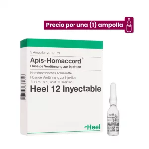 Apis Homaccord Ampolla Medicamento Homeopático