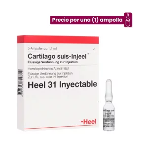 Cartilago Suis Injeel Medicamento Homeopático
