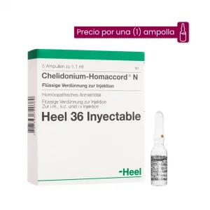 Chelidonium Homaccord Ampolla-Medicamento Homeopático