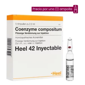 Coenzyme Compositum Ampolla Medicamento Homeopático