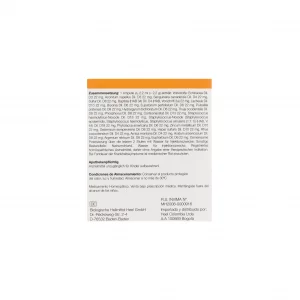 Echinacea Compositum ampolla Medicamento Homeopático