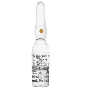 Hypophysis Suis Injeel Ampolla Medicamento Homeopático