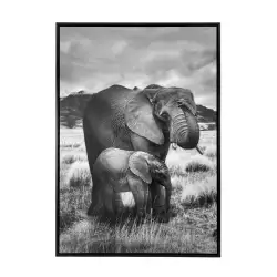 Cuadro Safari Concepts Savanna 3X70Cm Poliester 530-423624