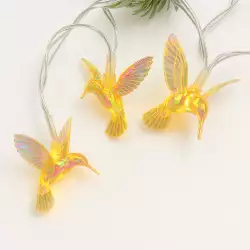 Luces Led Expressions Colibris Calida 10Pz 200Cm 3 V Ws-Gjdf006