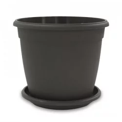 Matera Genova 26 Wengue + Plato 23Cm