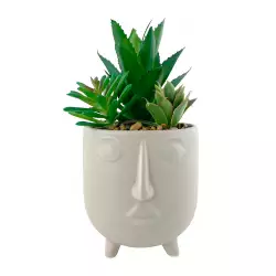 Planta Art Face Concepts Sweet Mocca 10X21X10Cm Gris Ceramica