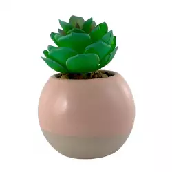 Planta Art Obs Concepts Sweet Mocca 7X10X7Cm Rosa Ceramica 532