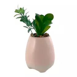Planta Art Obs Concepts Sweet Mocca 8X15X8Cm Rosa Ceramica 532