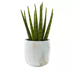 Planta artificial concepts Rose Blush orquidea 22x40x10cm blanco poliester