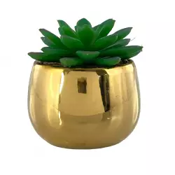 Planta artificial concepts Rose Blush savila 10x22x8cm verde madera