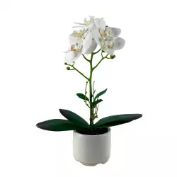 Planta artificial concepts Rose Blush suculent 13,2x20,8x11,5cm do