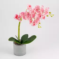 Planta artificial expressions 15x40cm roja blanc