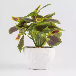 Planta artificial expressions 18x23cm verde pol