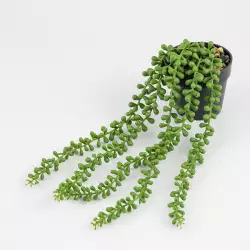 Planta artificial expressions 9x30cm verde poli