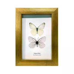 Portaretrato 13.2X18 Concepts Luxor 18X1Cm Dorado Mdf 530-87193