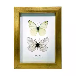 Portaretrato Concepts Luxor 20X1Cm Dorado Mdf 530-871934