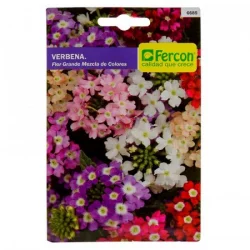 Semilla Flor Verbena Fercon-Multicolor