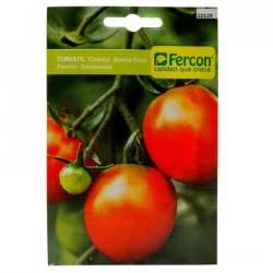 Semilla Hortaliza Tomate Chonto Fercon-Rojo