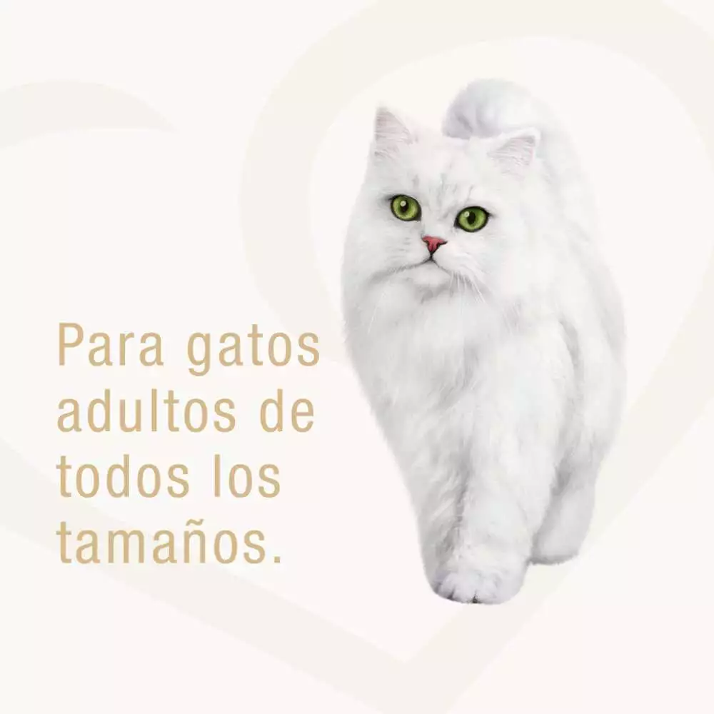 Alimento Humedo Gato Purina 85 Gr Atun 12459949