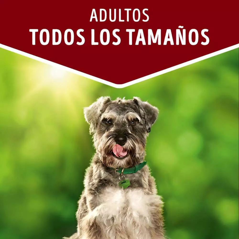 Alimento Humedo Perr Purina 100 Gr Cordero 12477300